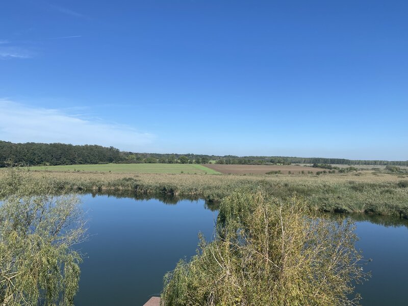 Gradistea, Caldarusani, teren cu deschidere la lac