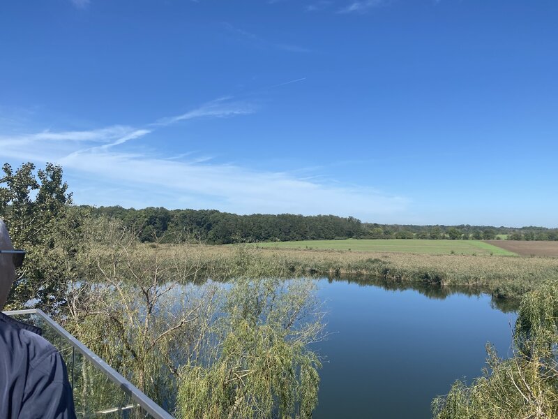 Gradistea, Caldarusani, teren cu deschidere la lac