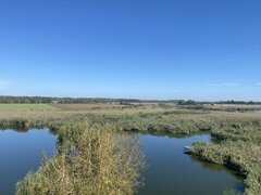 Gradistea, Caldarusani, teren cu deschidere la lac