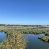 Gradistea, Caldarusani, teren cu deschidere la lac