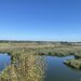 Gradistea, Caldarusani, teren cu deschidere la lac