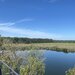 Gradistea, Caldarusani, teren cu deschidere la lac